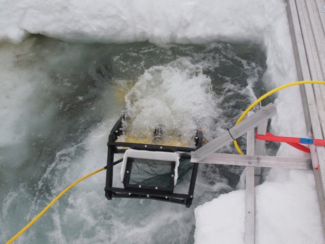 The picture shows the ice hole where the ROV is about to dive to take samples of the crustaceans. The propulsion systems set in motion cause the water to foam and bubble. While the yellow ROV is only dimly visible under the white foaming water, the benthic broom is still peeking out from the surface. It is a black plastic frame attached to the top of the ROV and spans a rectangular cage made of fine-meshed net. A thin strip broom is attached to three sides of the cage edge, which is used to sweep the animals off the underside of the ice.