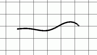 Butterfish Butterfish